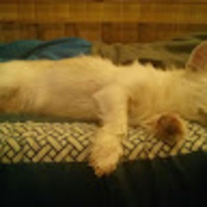 Meet your Posher, Minsung